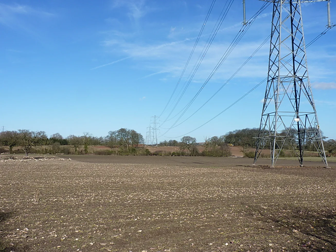Farmland near Hampton in Arden, one of the station areas named in the draft plan. The picture does not show a specific site.